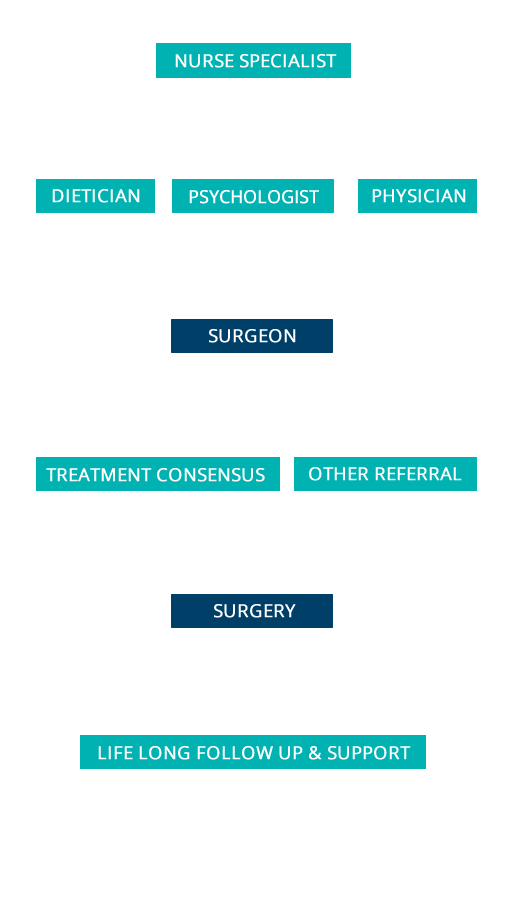 weight loss surgery flowchart