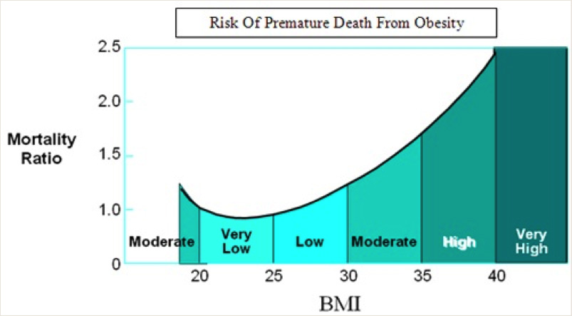 chart showing Obesity Health Threats chart showing Obesity Health Threats